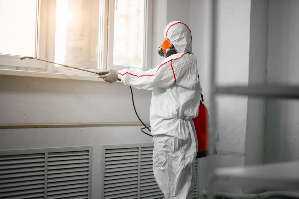 Professional mold remediation services in Brownwood, TX